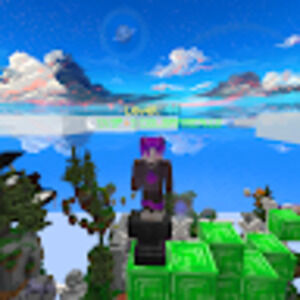 Meet your Posher, Allen